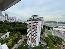 Blk 101 Spottiswoode Park (Bukit Merah), HDB 4 Rooms #500876981